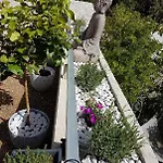 2 Pieces Avec Grande Terrasse